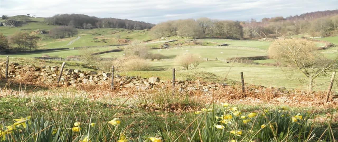 Black Beck Farm Holiday Caravans, site landscape