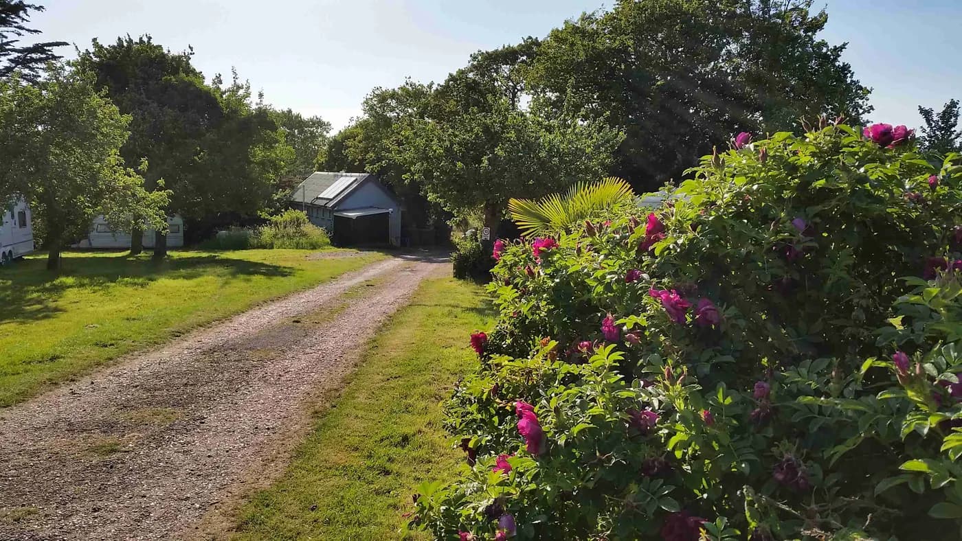 Comforts Farm, site landscape