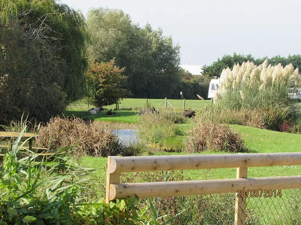 Fairfields Farm, site landscape