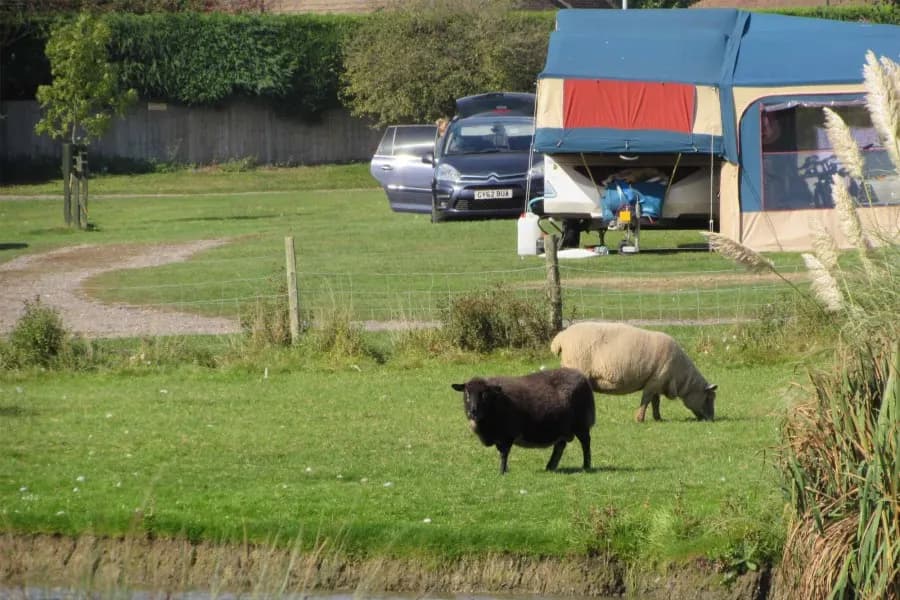 Fairfields Farm