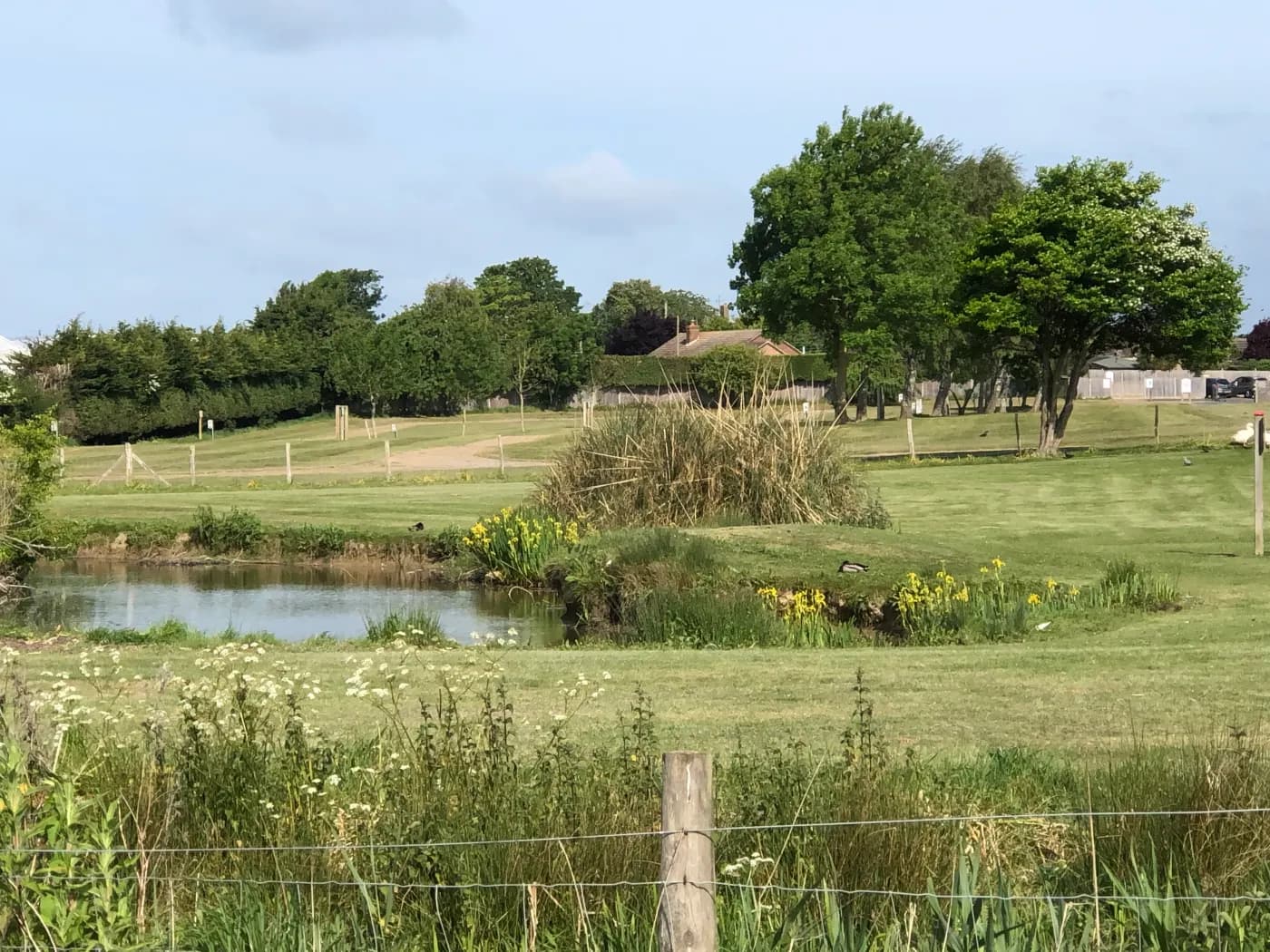 Fairfields Farm, site landscape