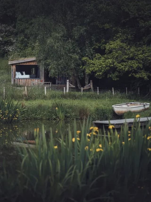 One Cat Farm, glamping