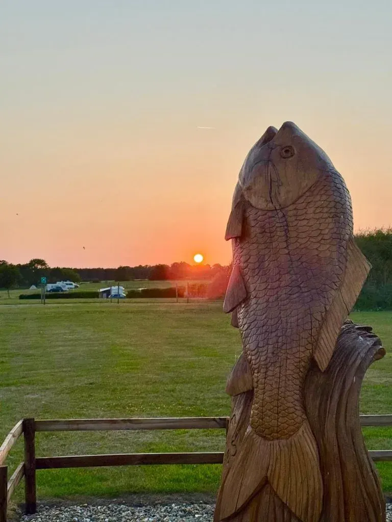 Field Farm Fisheries