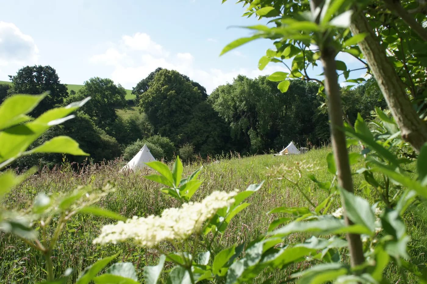 Hidden Valley Camping, glamping