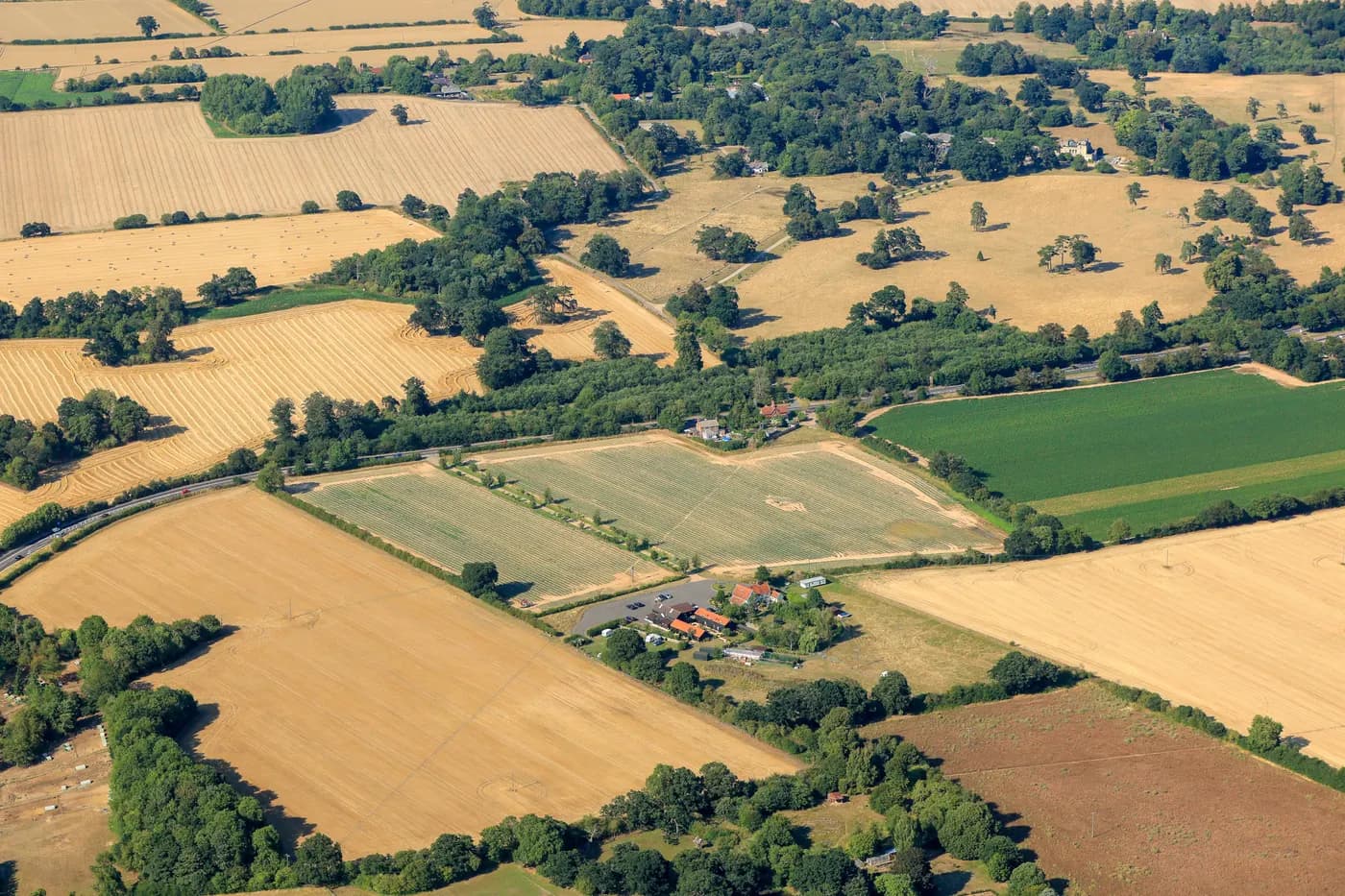 Molletts Farm, site landscape
