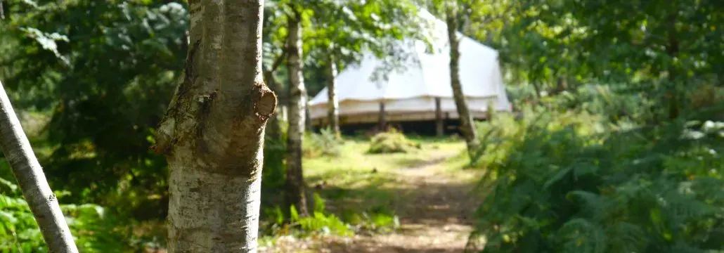 Ace Hideaways