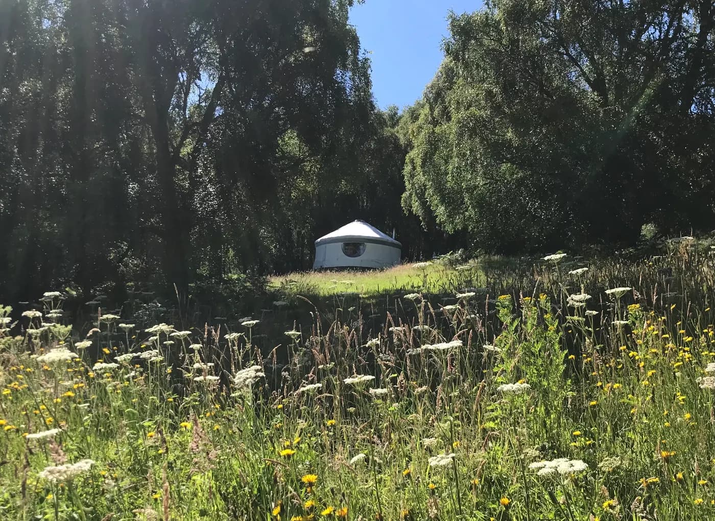 Black Isle Yurts
