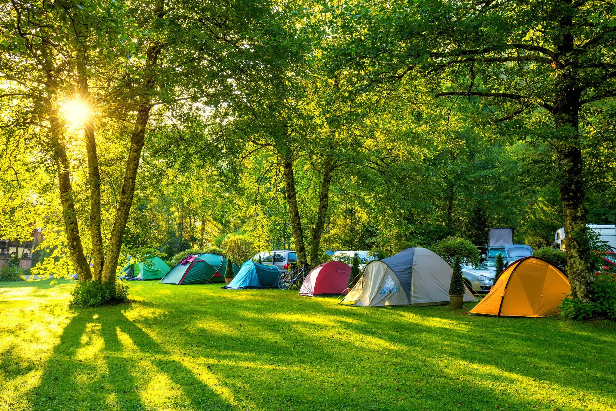 Forest and Wye Valley Caravan and Camping Site