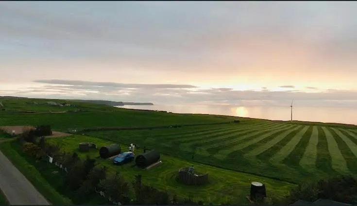 Down on the Farm