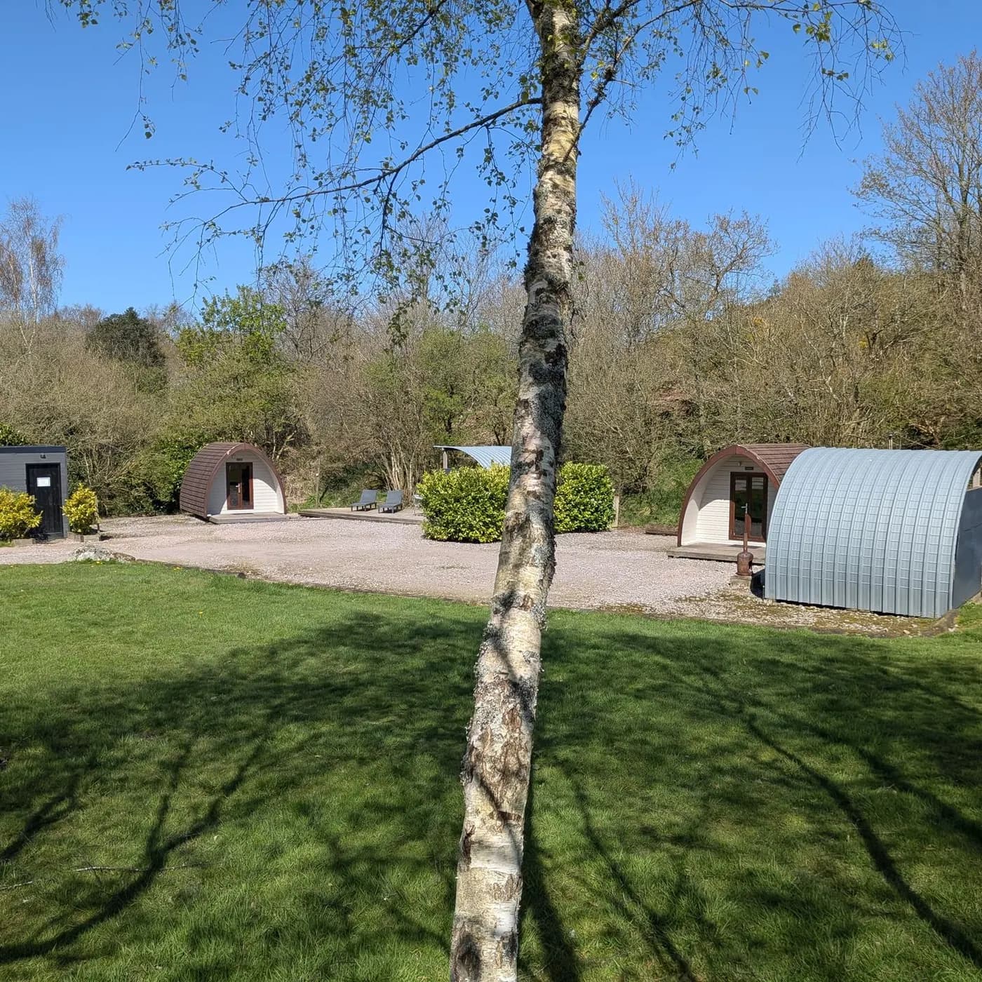 Gorsebank