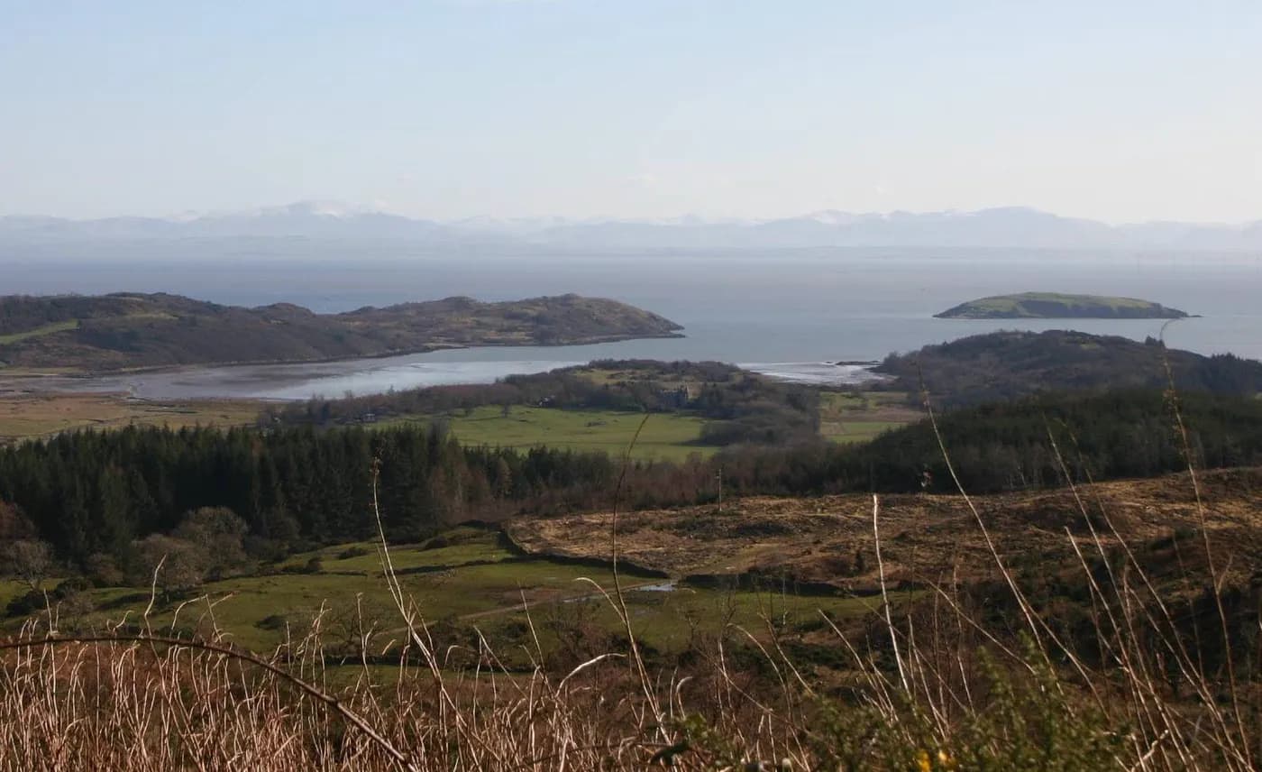 Gorsebank, site landscape