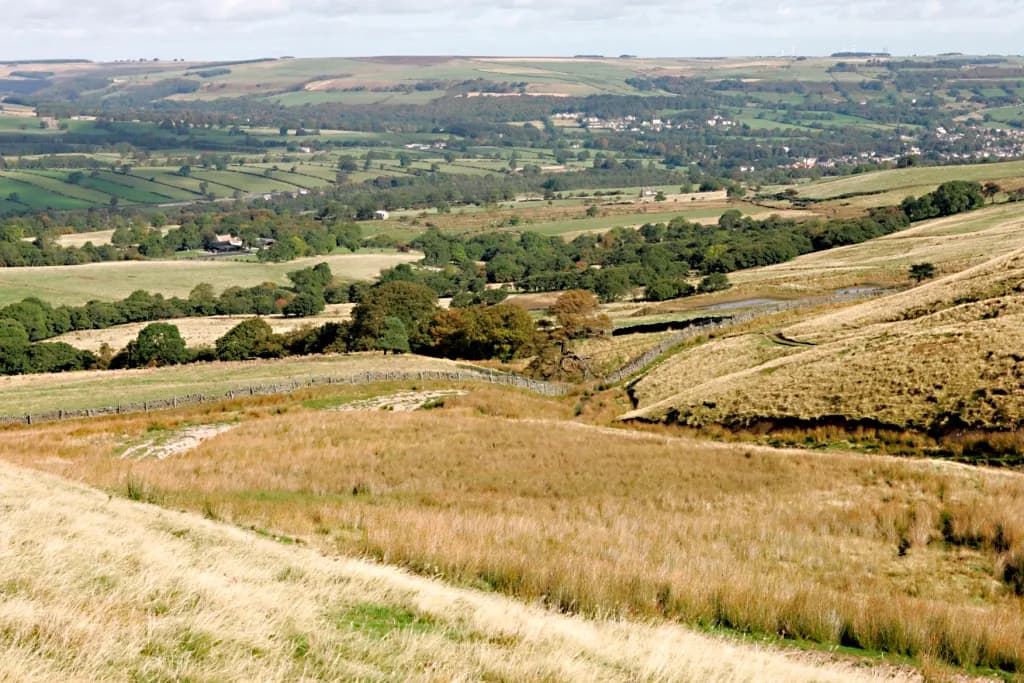 Coves House, site landscape