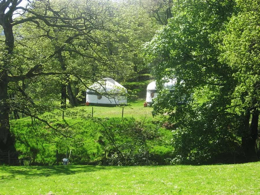 Inside Out Camping, site landscape