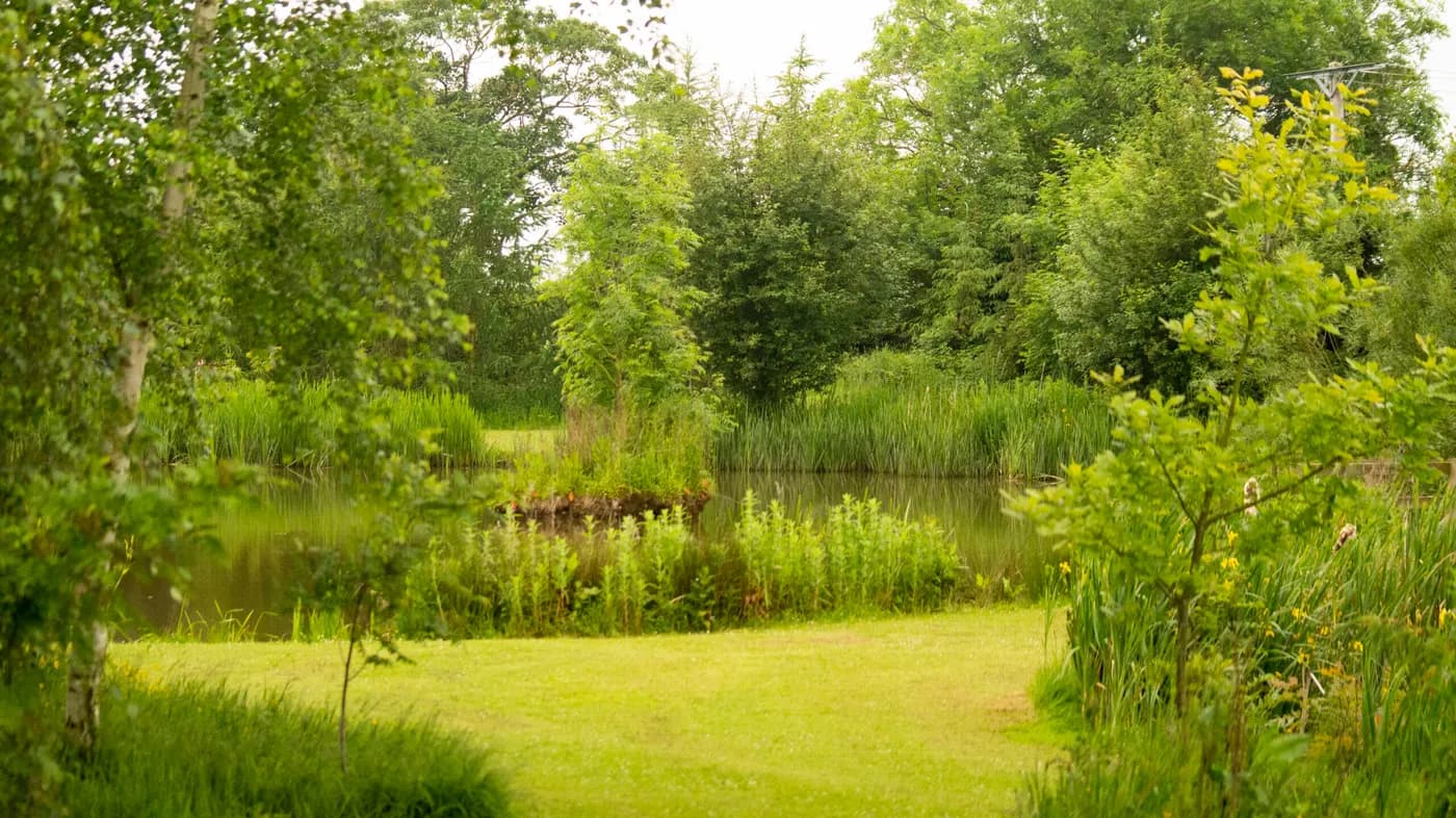 Canada Fields Caravan Park, site landscape