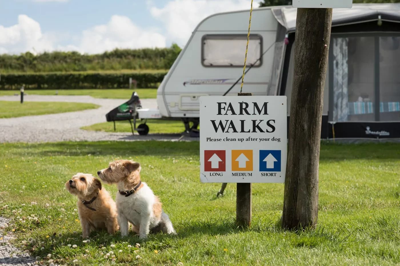 Cliff Farm, flavour