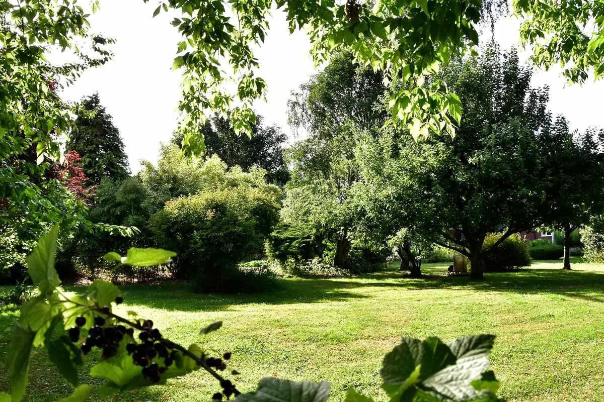 Little Oak Campsite, site landscape