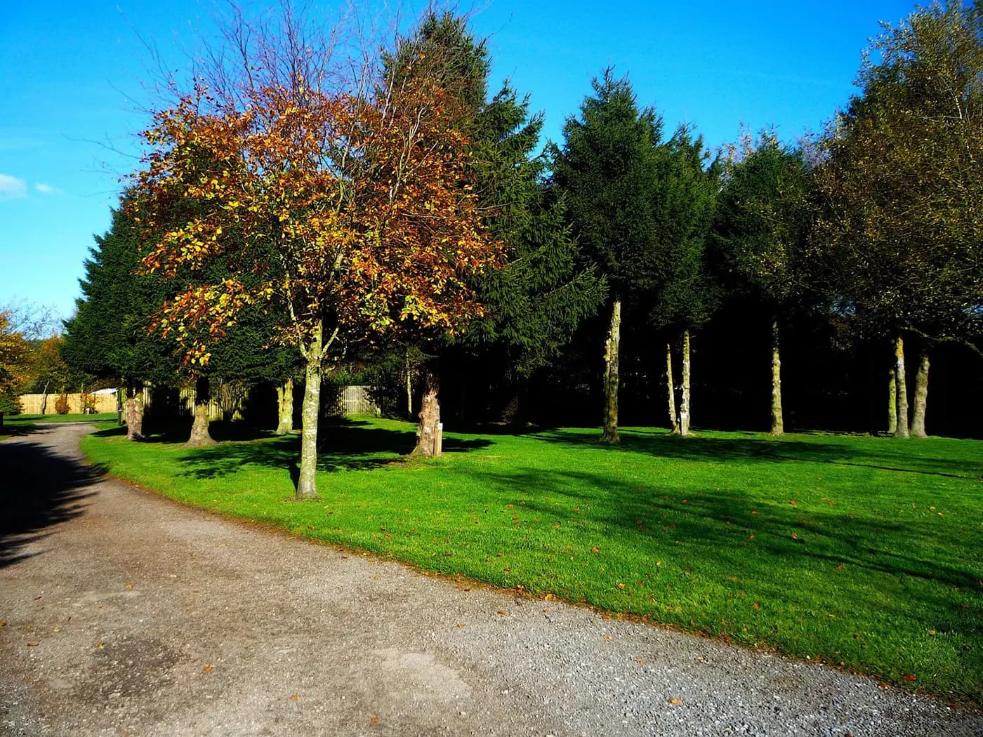 Packhorse Farm, site landscape