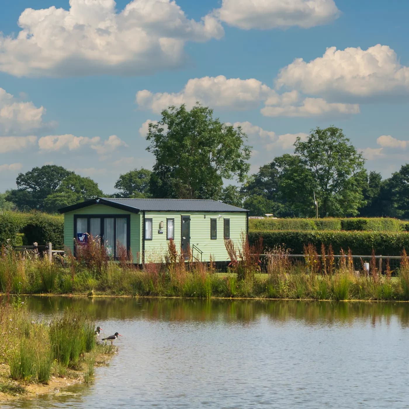 Cartref Caravan, glamping