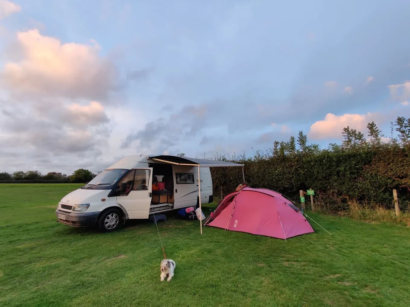 Coombe View Farm