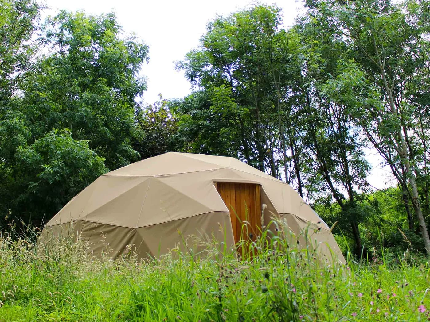 Trellyn Woodland Camping
