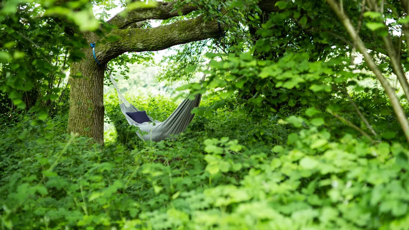 Penhein Glamping, flavour