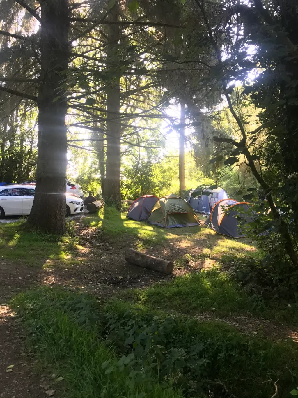Dartmoor Shepherds Huts, camping