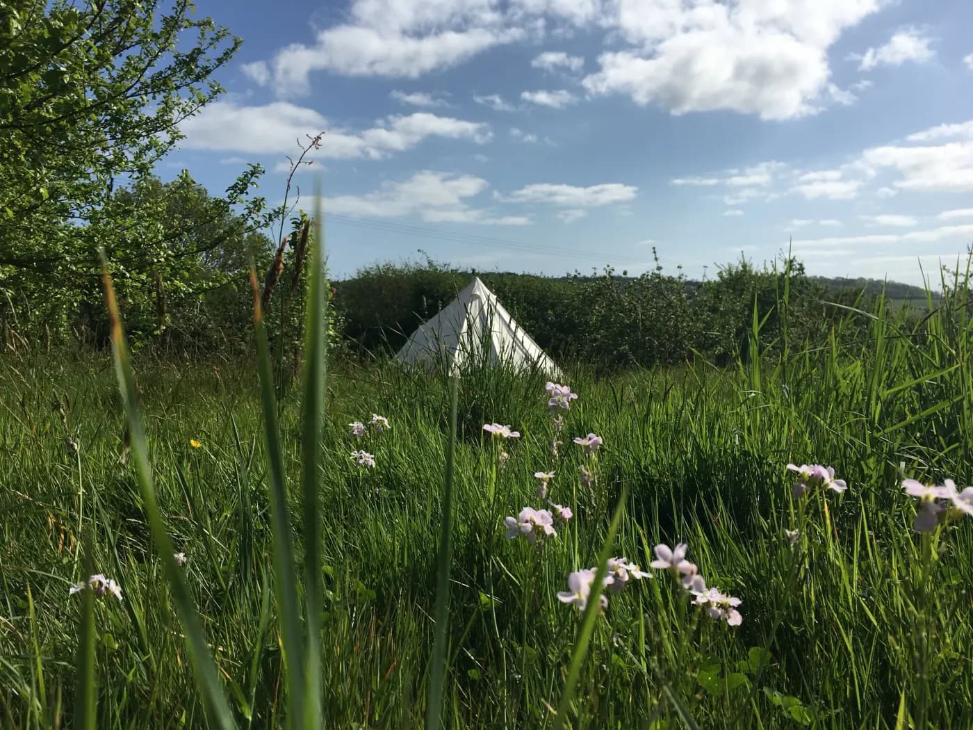 Brigs Farm, glamping
