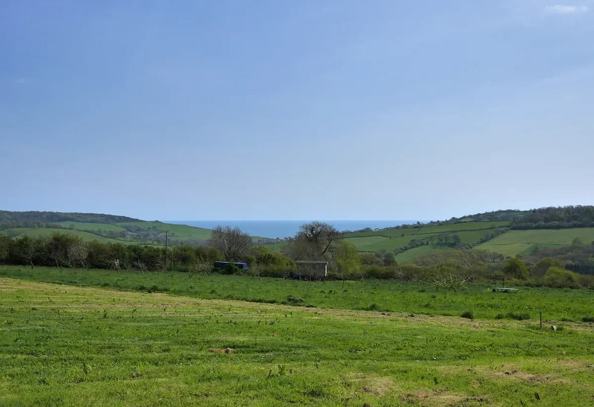 Brigs Farm, site landscape