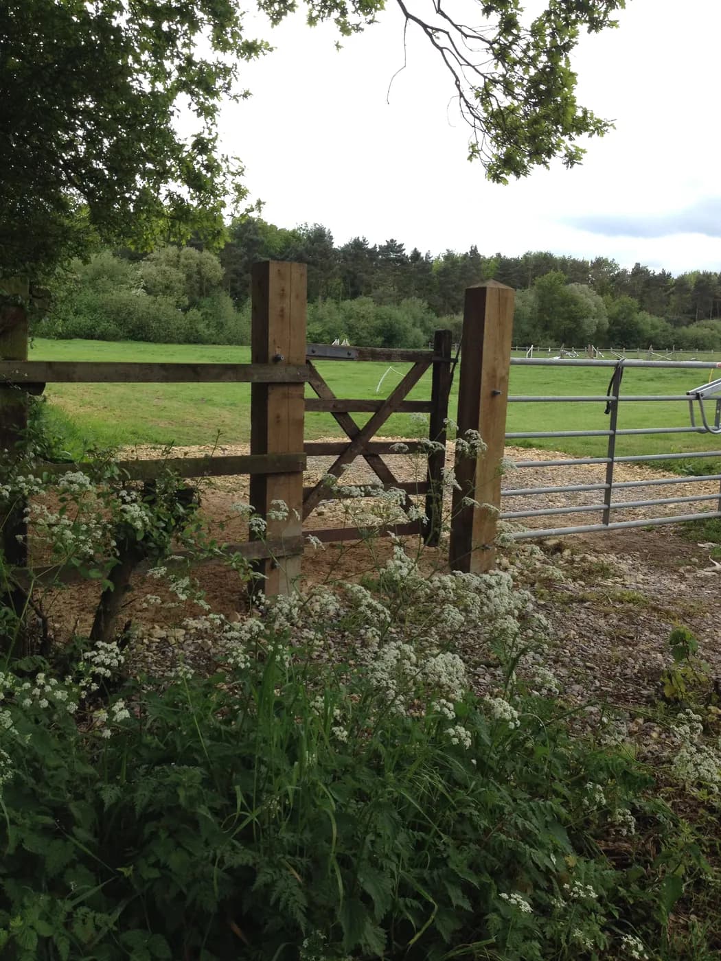 Country Living Caravan Site, site landscape