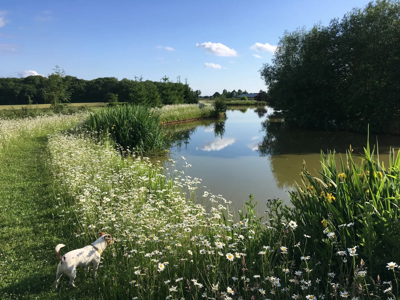 Oxton Hill Hideaway, site landscape