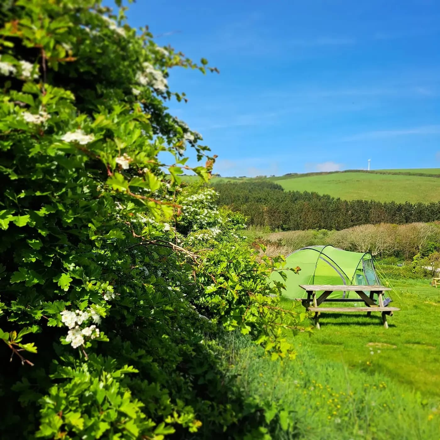 Higher Pendeen Camping, site landscape