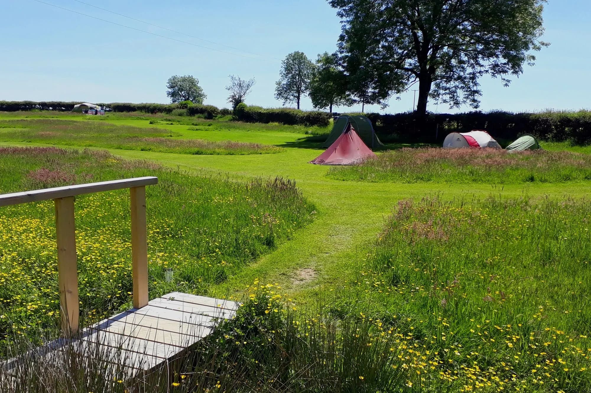 Glynmarch Camping