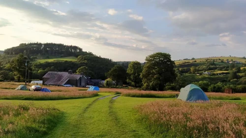 Glynmarch Camping, site landscape
