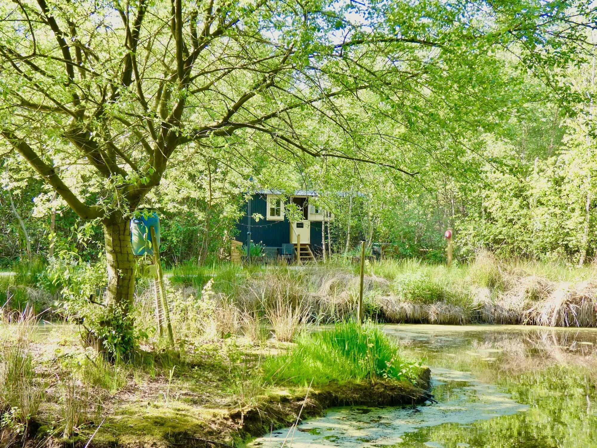 Hart Lake Escapes