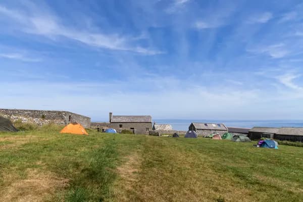 Camping Field