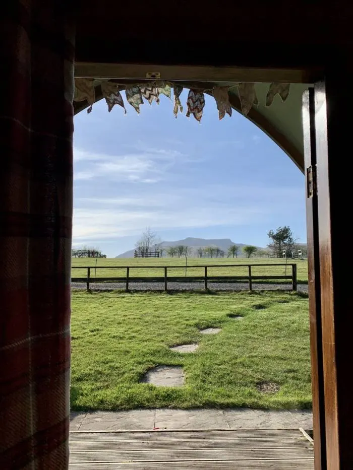 Gill Head Farm, site landscape