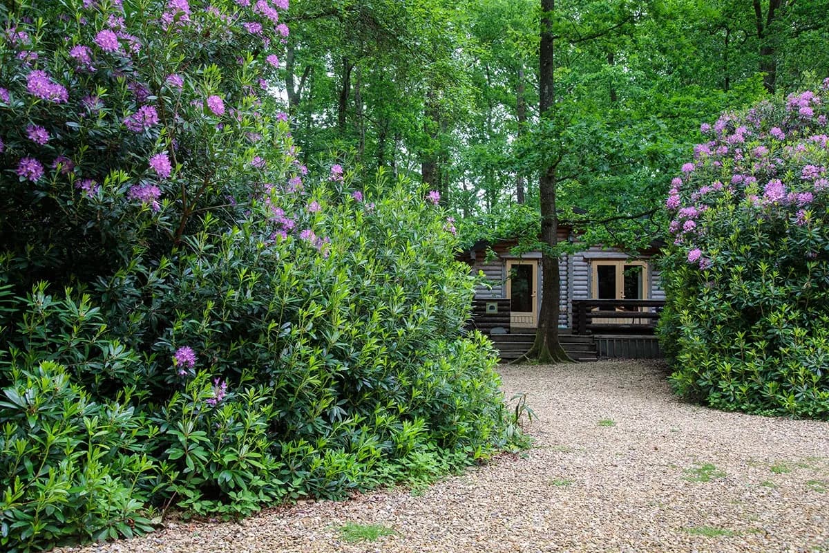 Alpine Grove, glamping