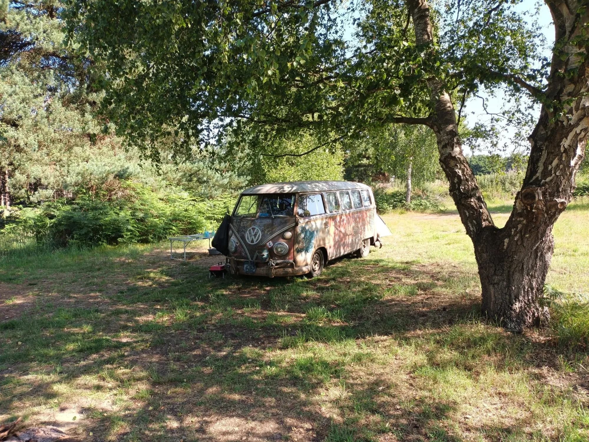 Holistic Woods Wild Campsite