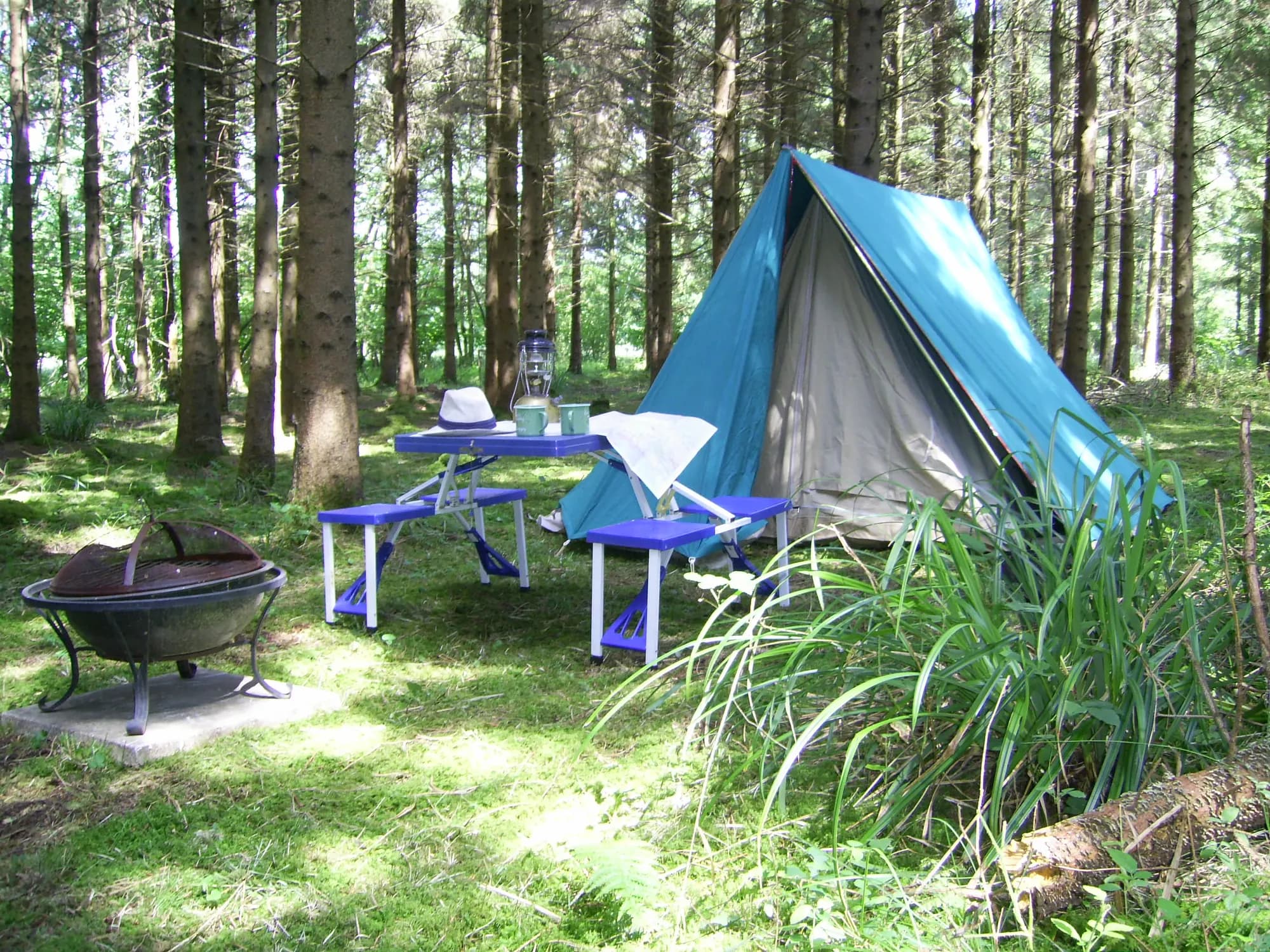 Bridgewood Camping - Woodland camps