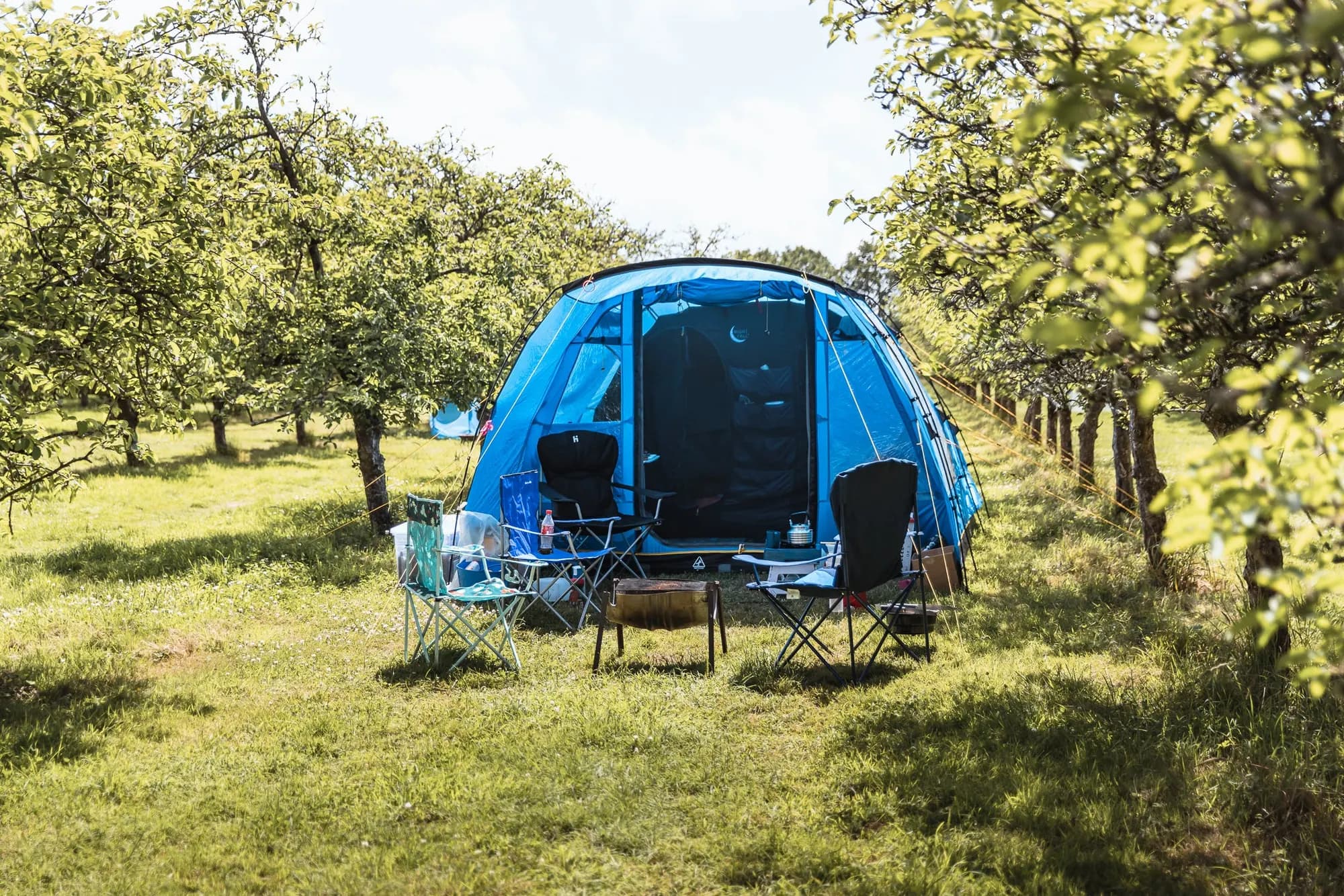 Cider Farm Orchard Campsite