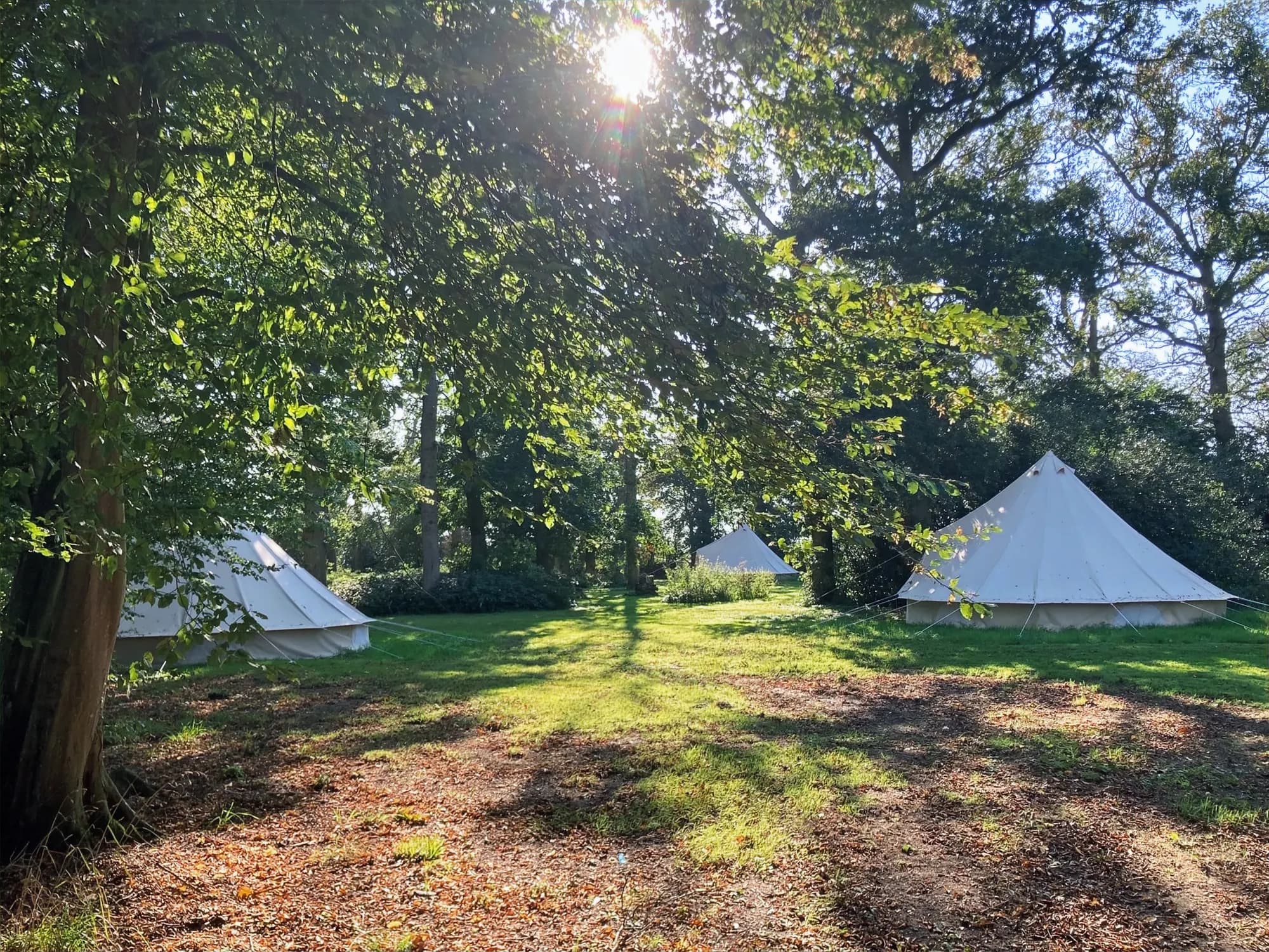 Hill Cottage Woodland Glamping
