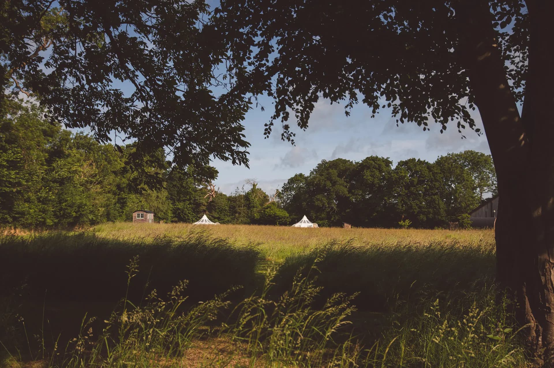 Knowle Meadow Camping