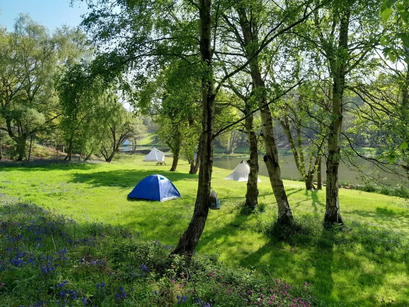 North Norfolk Camping & Glamping