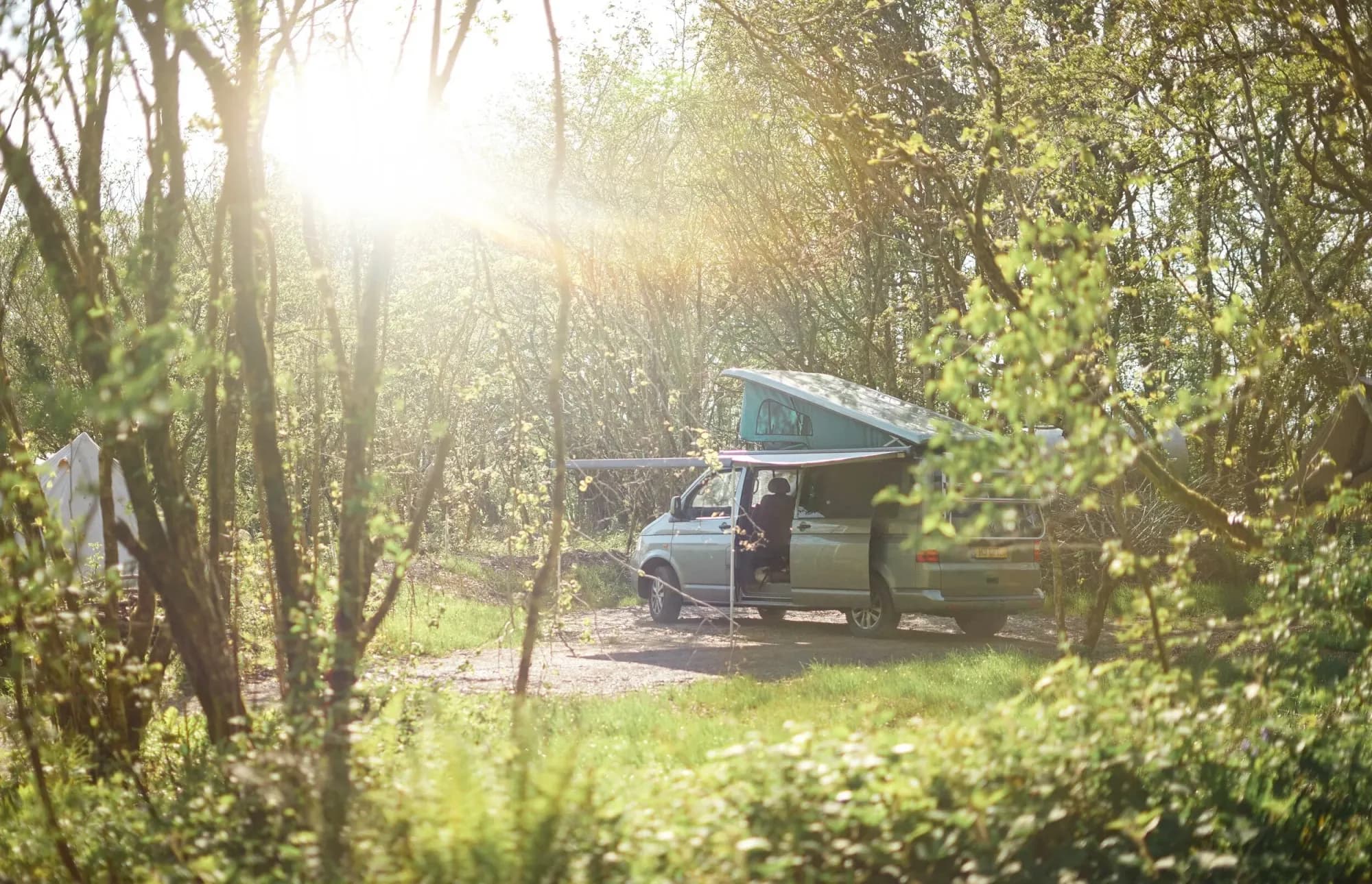 Dragonfly Woodland Camping