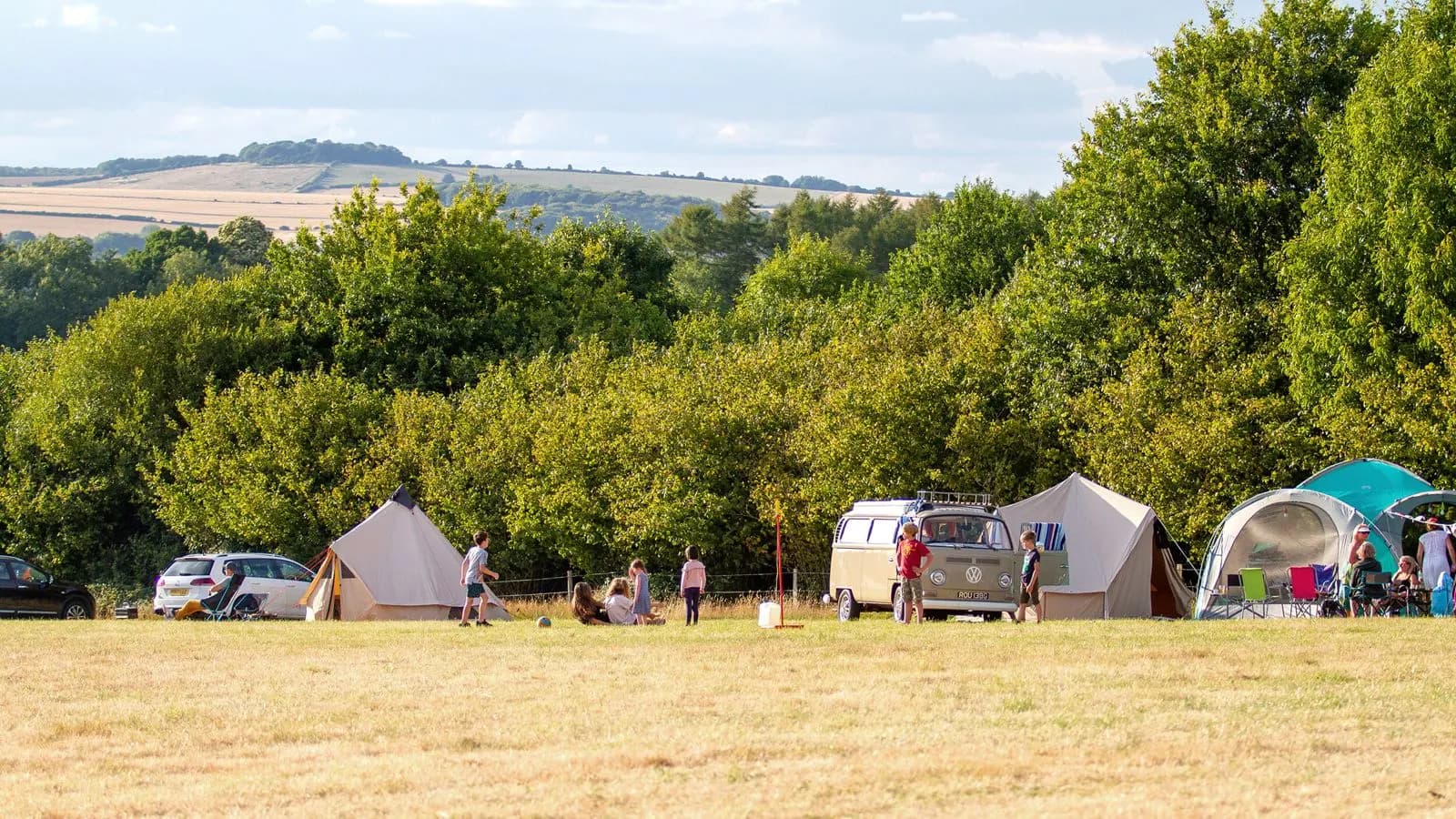 Harry's Meadow