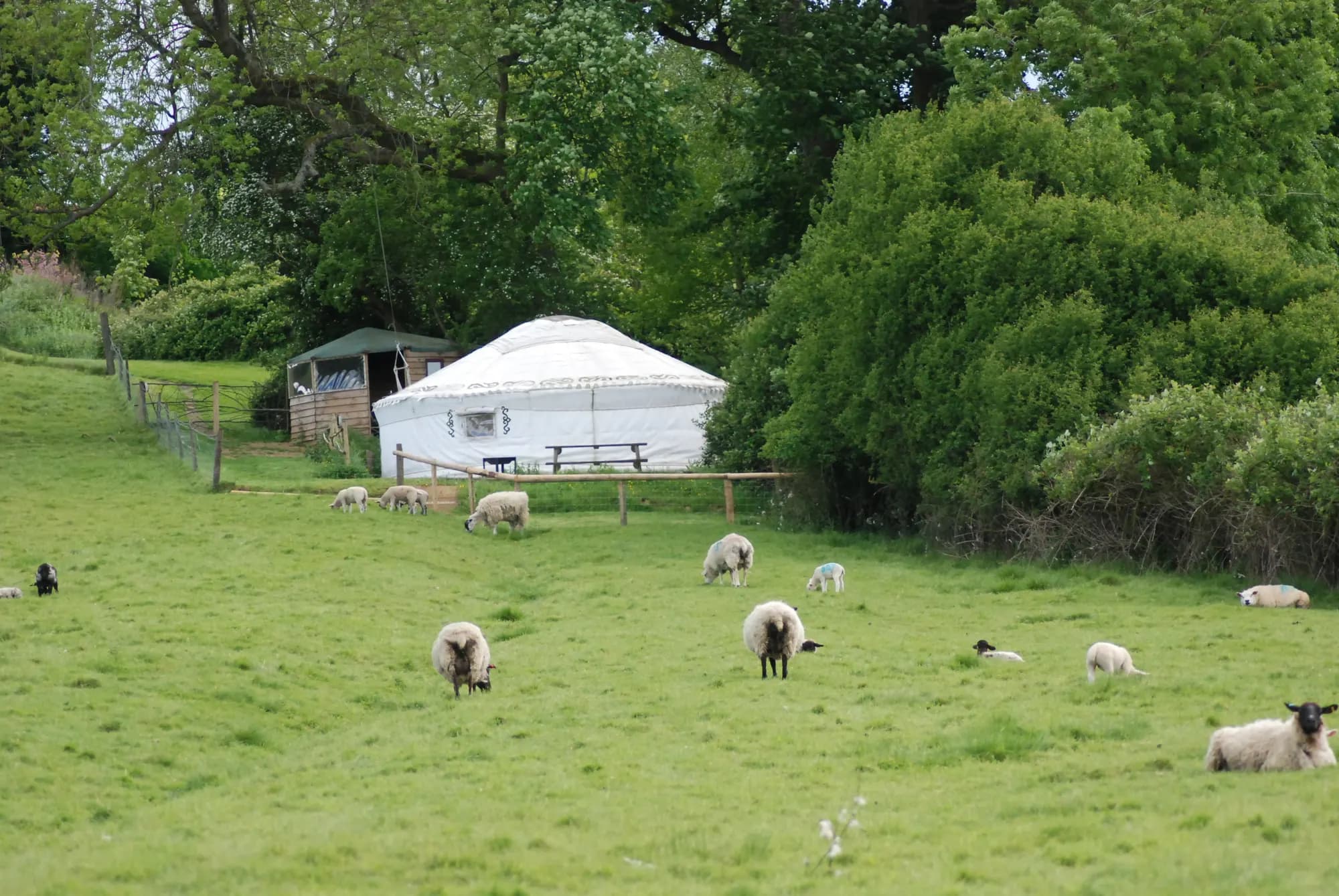 Meadow Lake Glamping