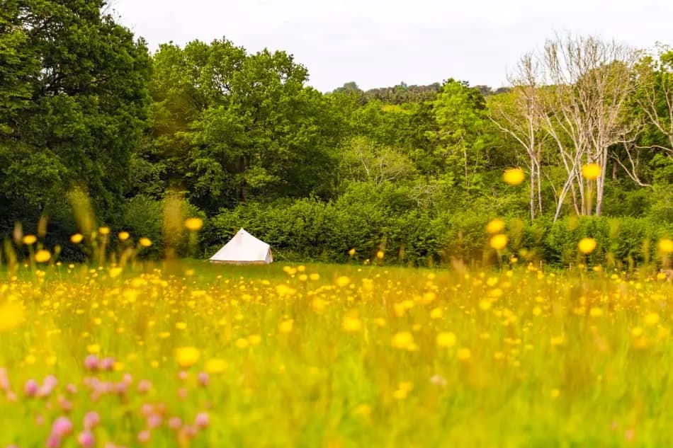 Earth Camp