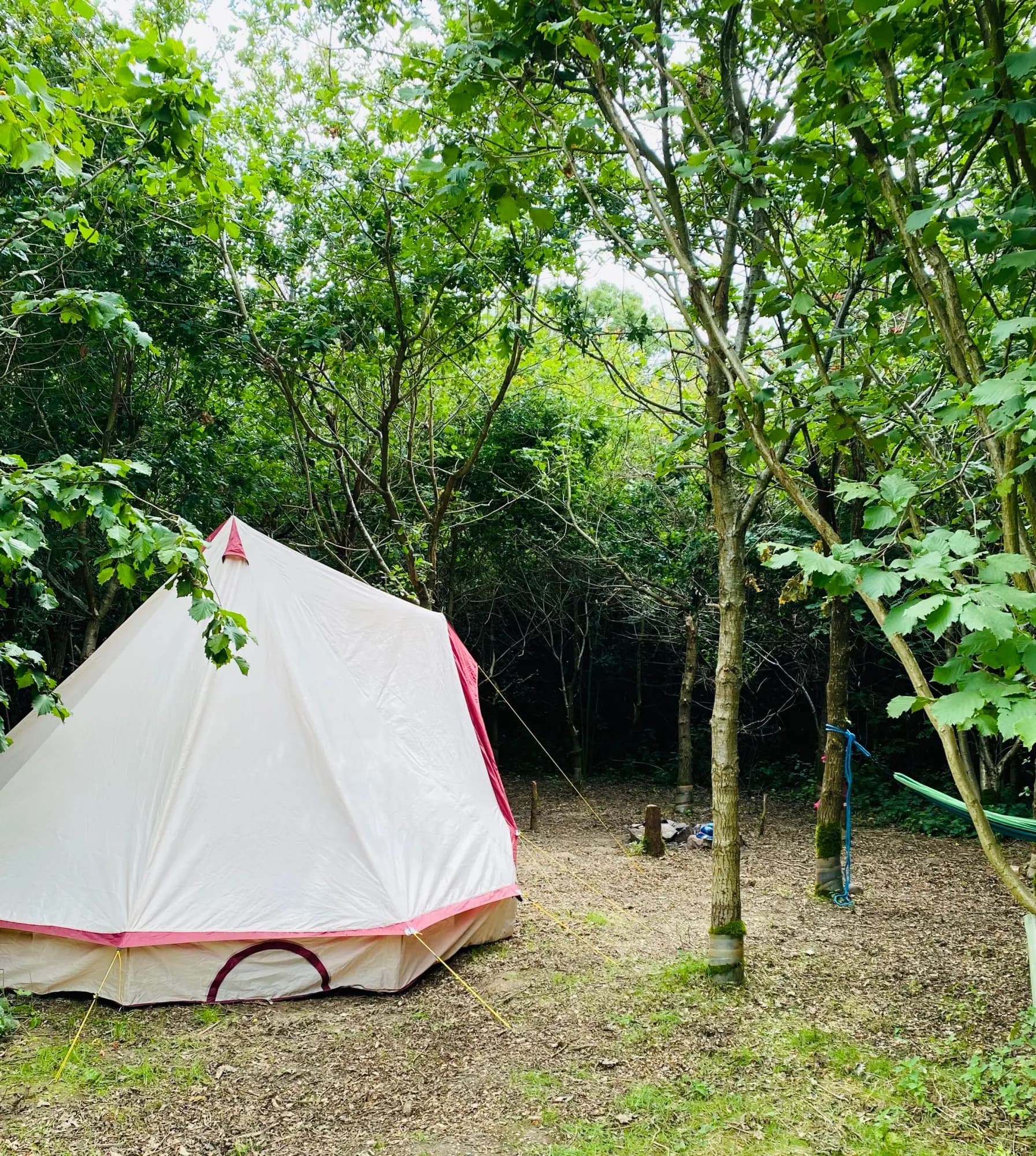 Fire and Stars Woodland Camping