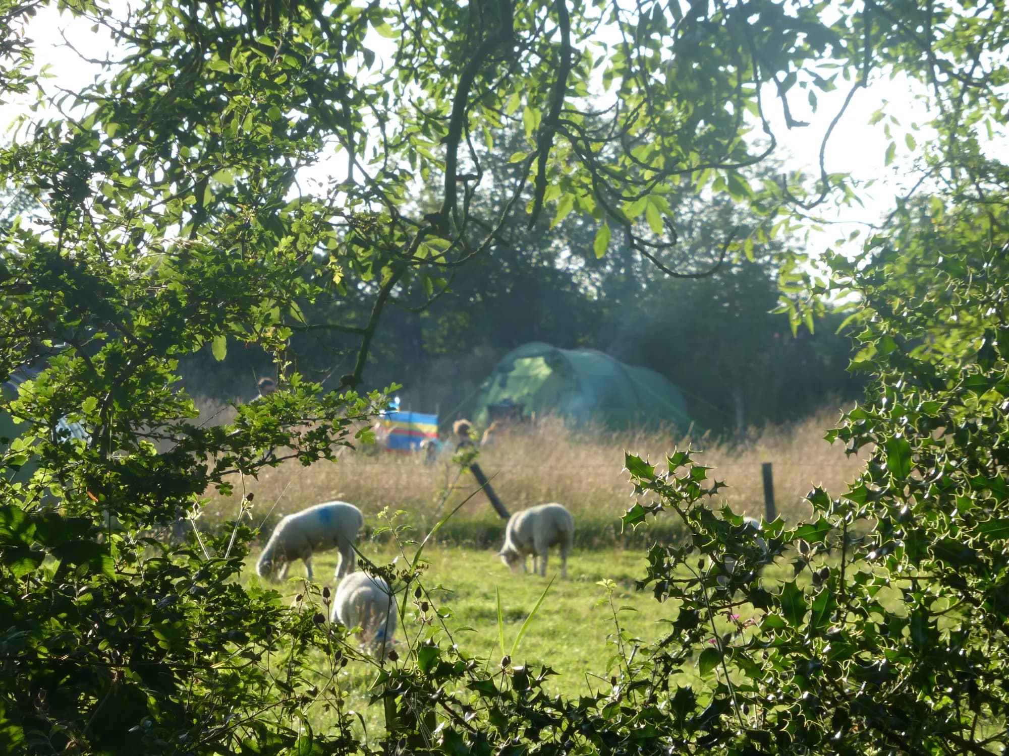 Ffynnonwen Farm Wild Camping