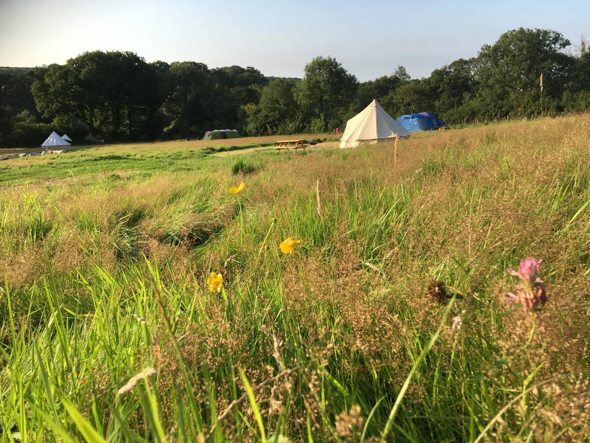Cilrath Wood Camping